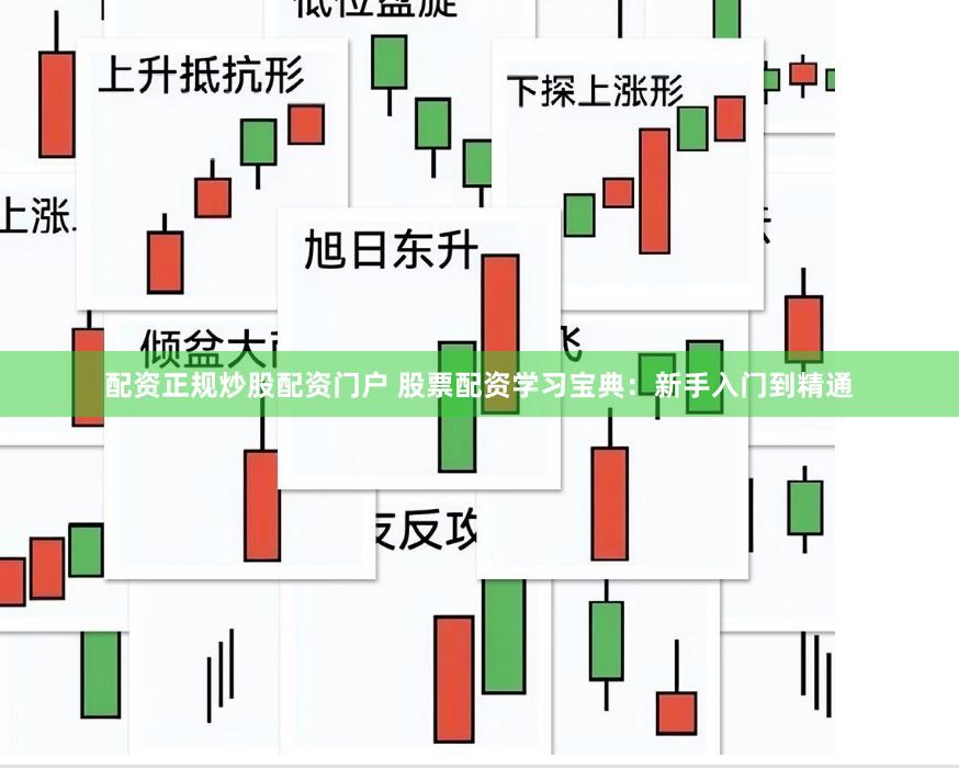配资正规炒股配资门户 股票配资学习宝典：新手入门到精通