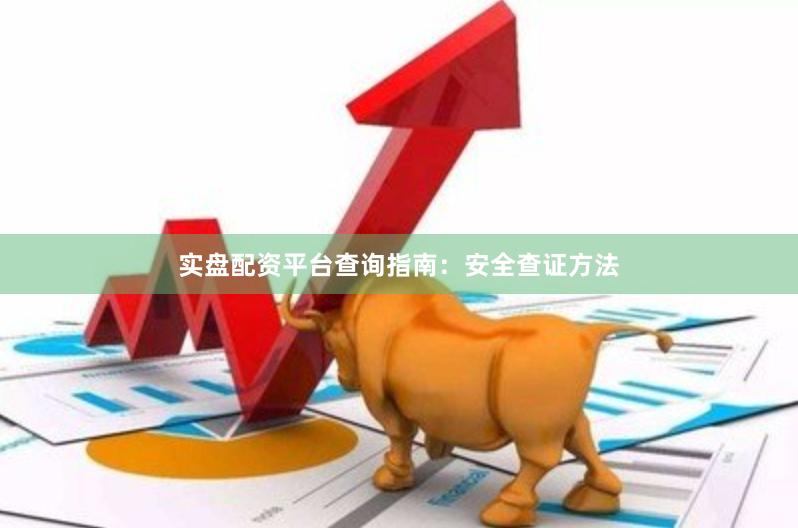 实盘配资平台查询指南：安全查证方法